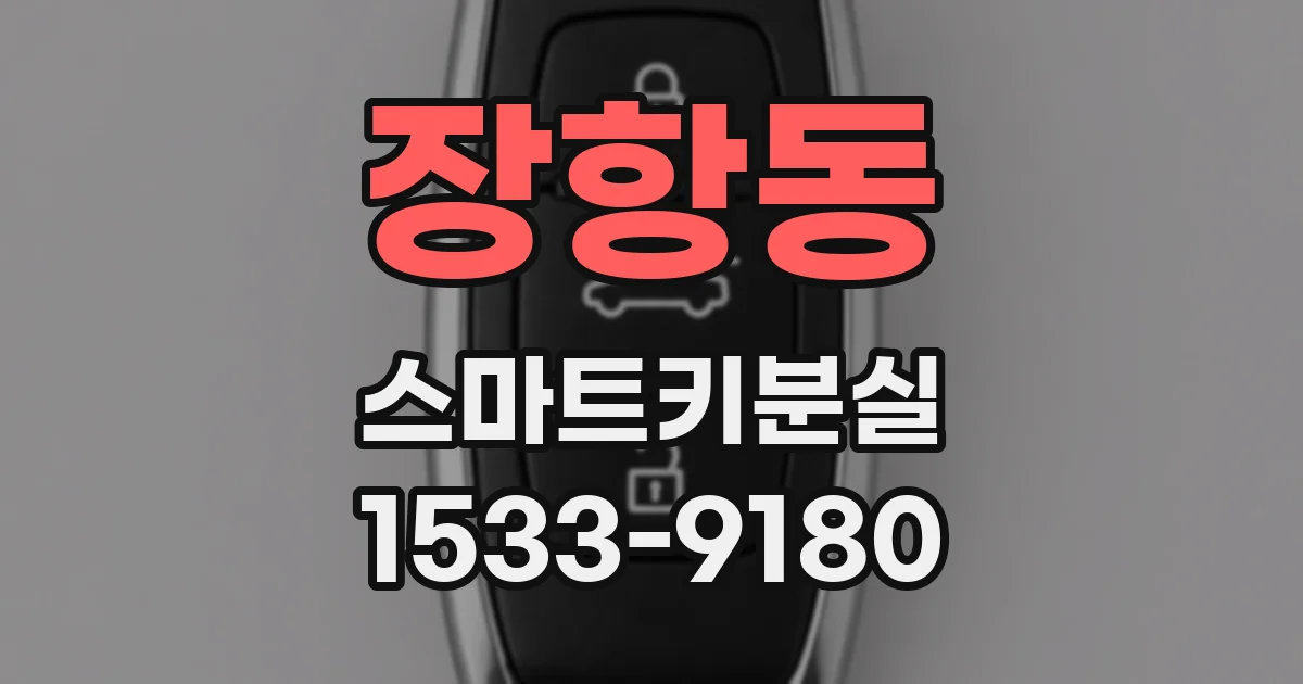 장항동 스마트키분실