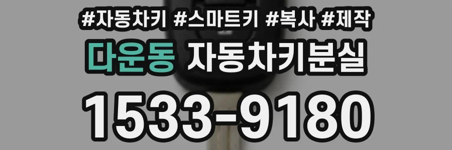 다운동 자동차키분실