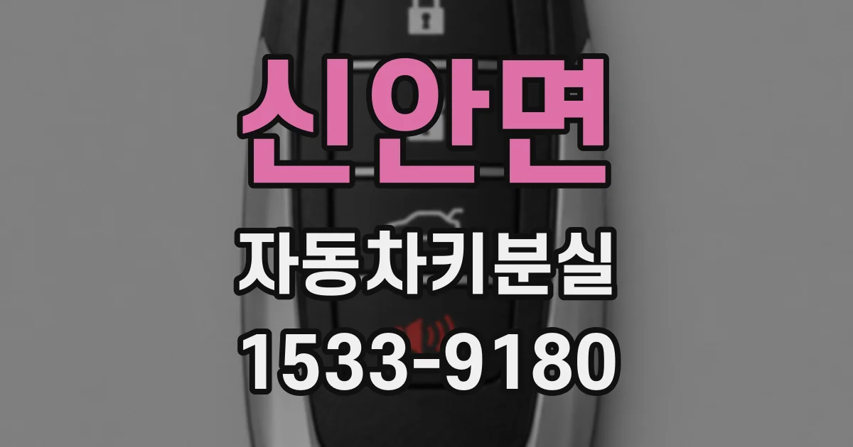 신안면 자동차키분실