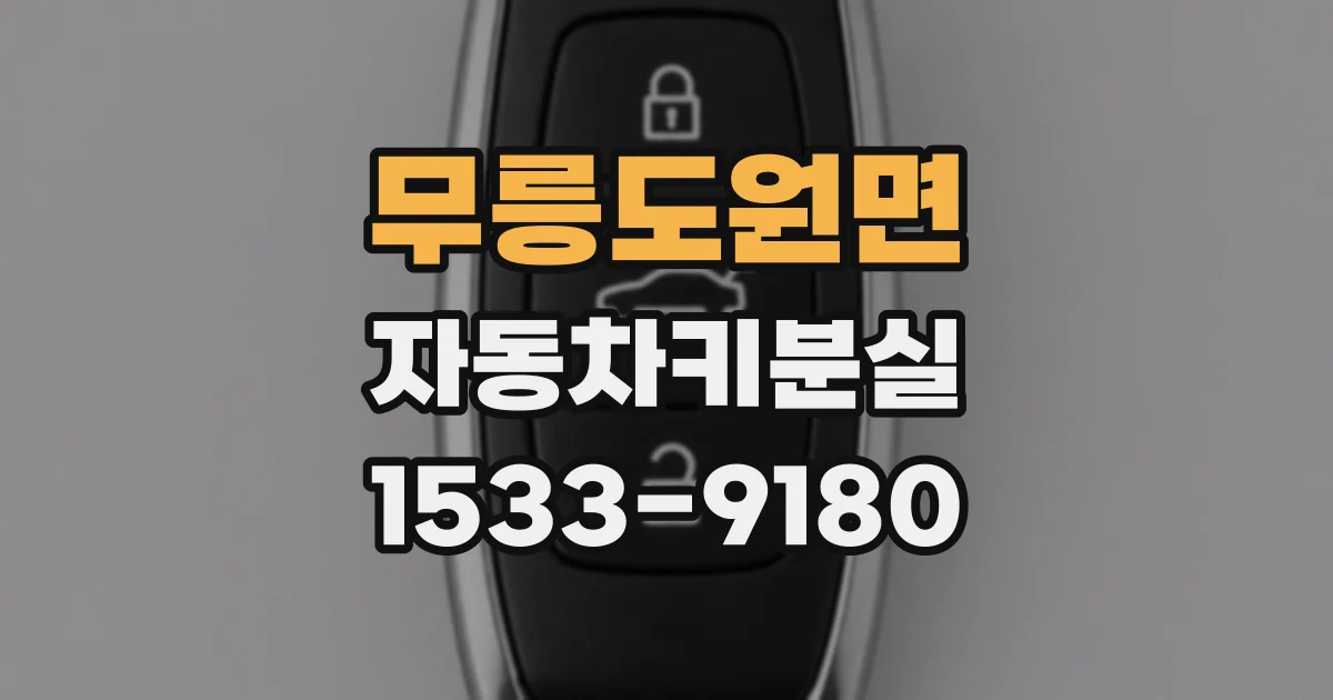 무릉도원면 자동차키분실