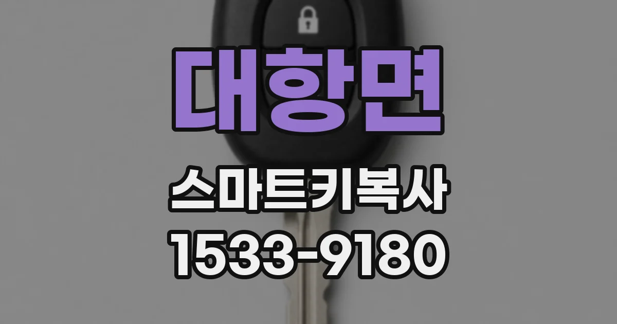 대항면 스마트키복사