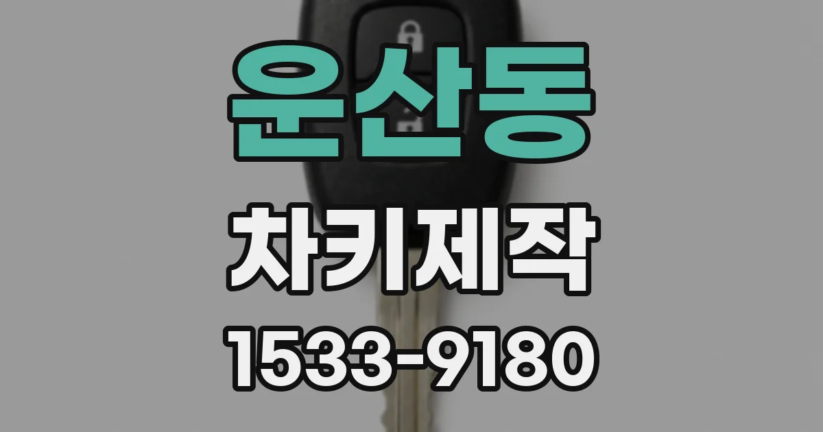 운산동 차키제작