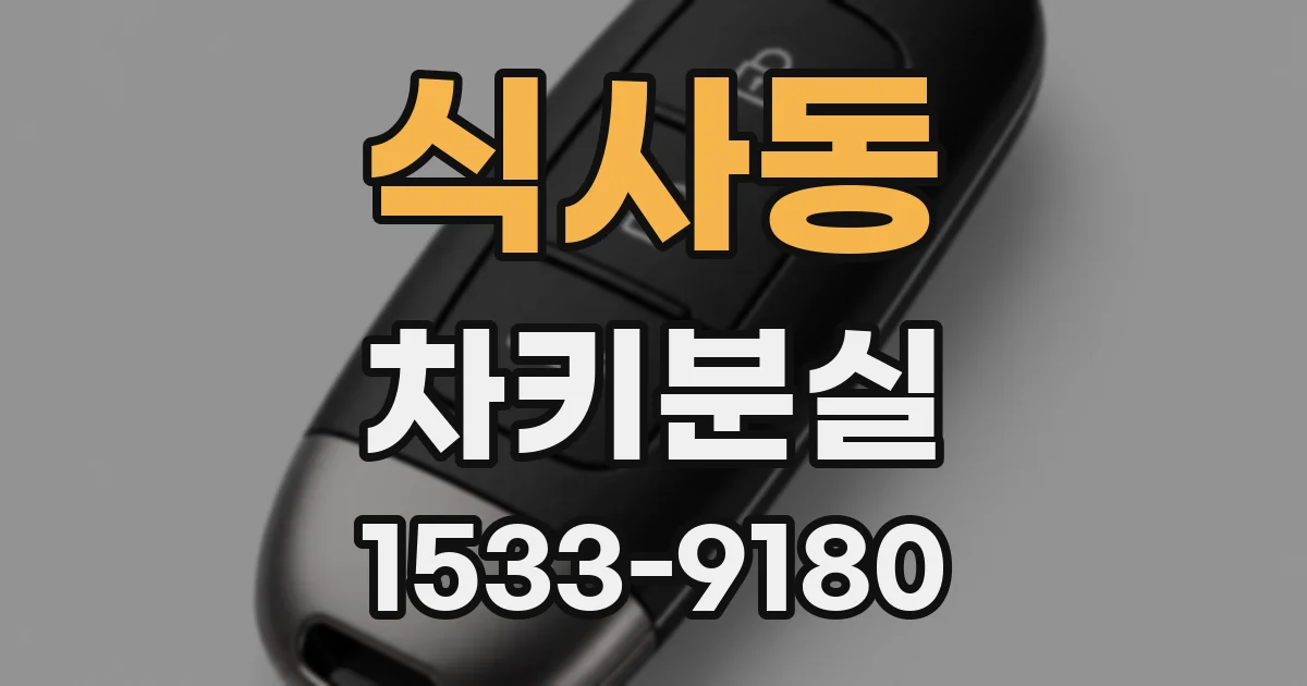 식사동 차키분실