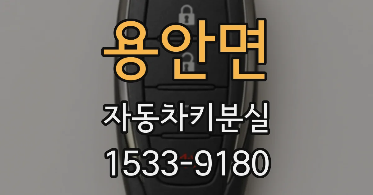 용안면 자동차키분실