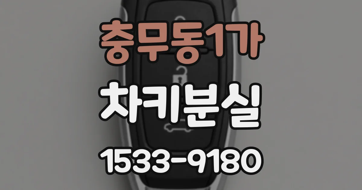 충무동1가 차키분실