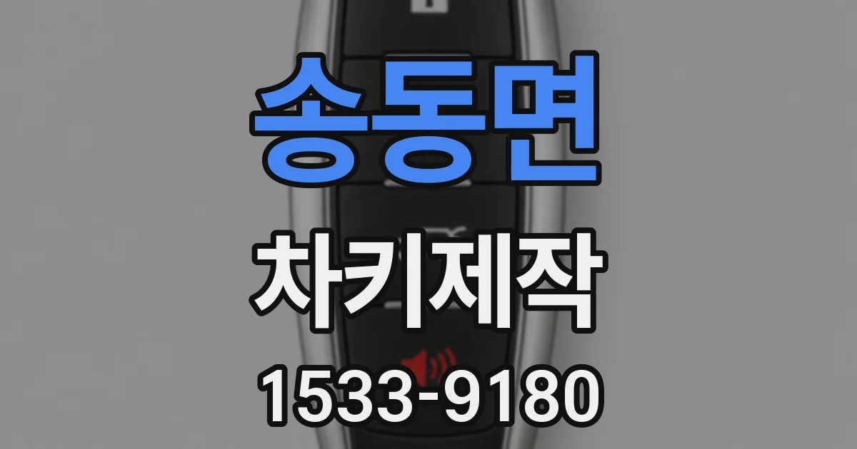 송동면 차키제작