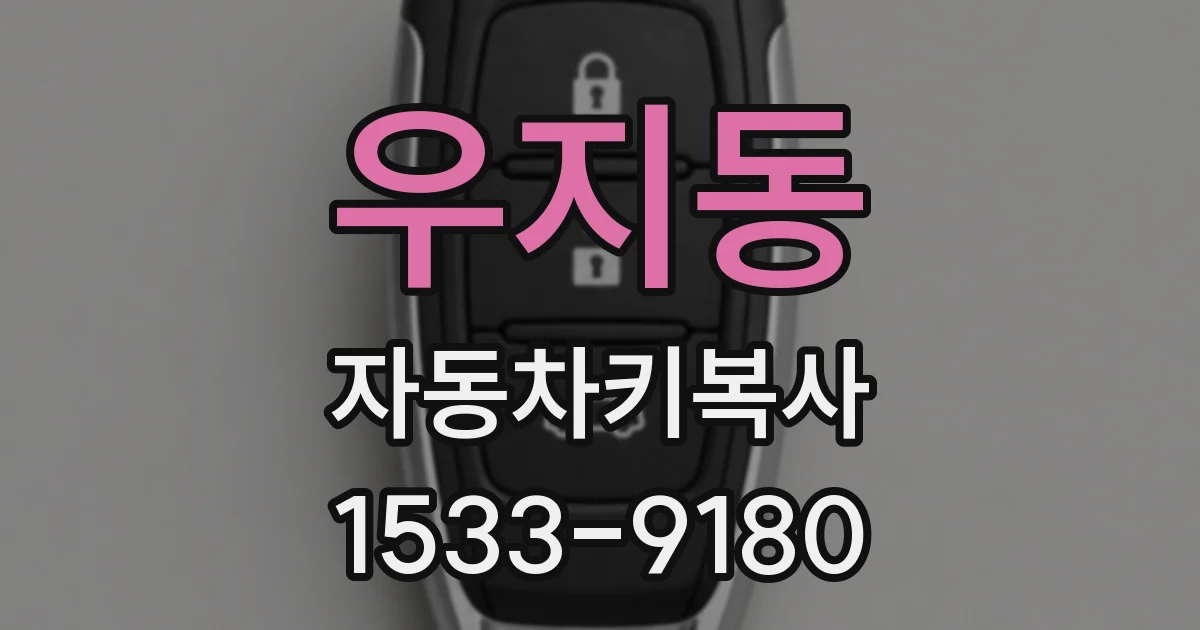 우지동 자동차키복사