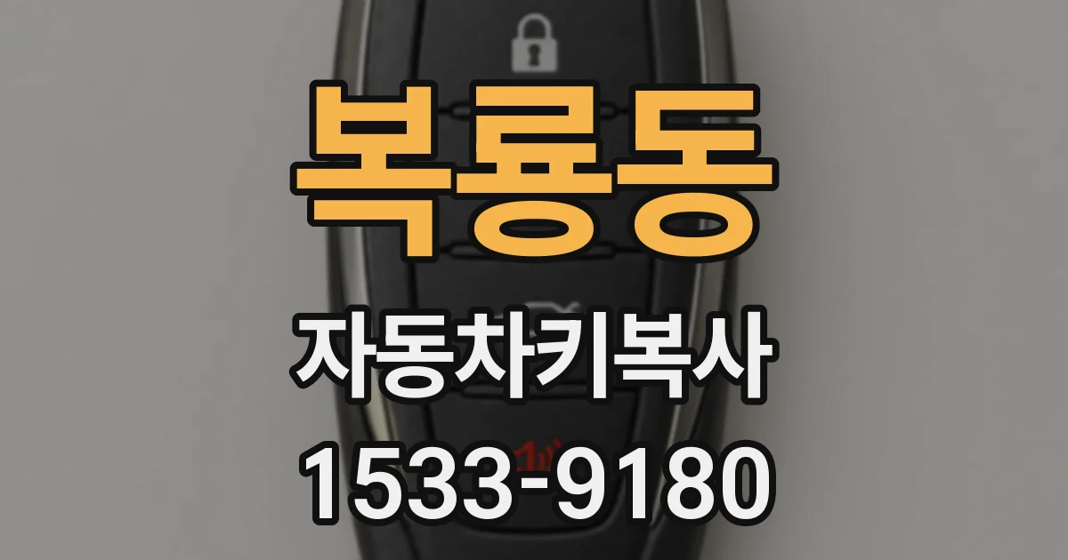 복룡동 자동차키복사