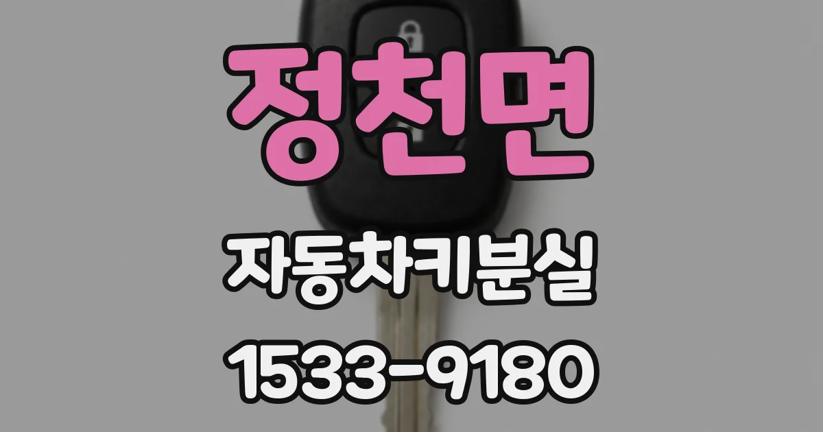 정천면 자동차키분실