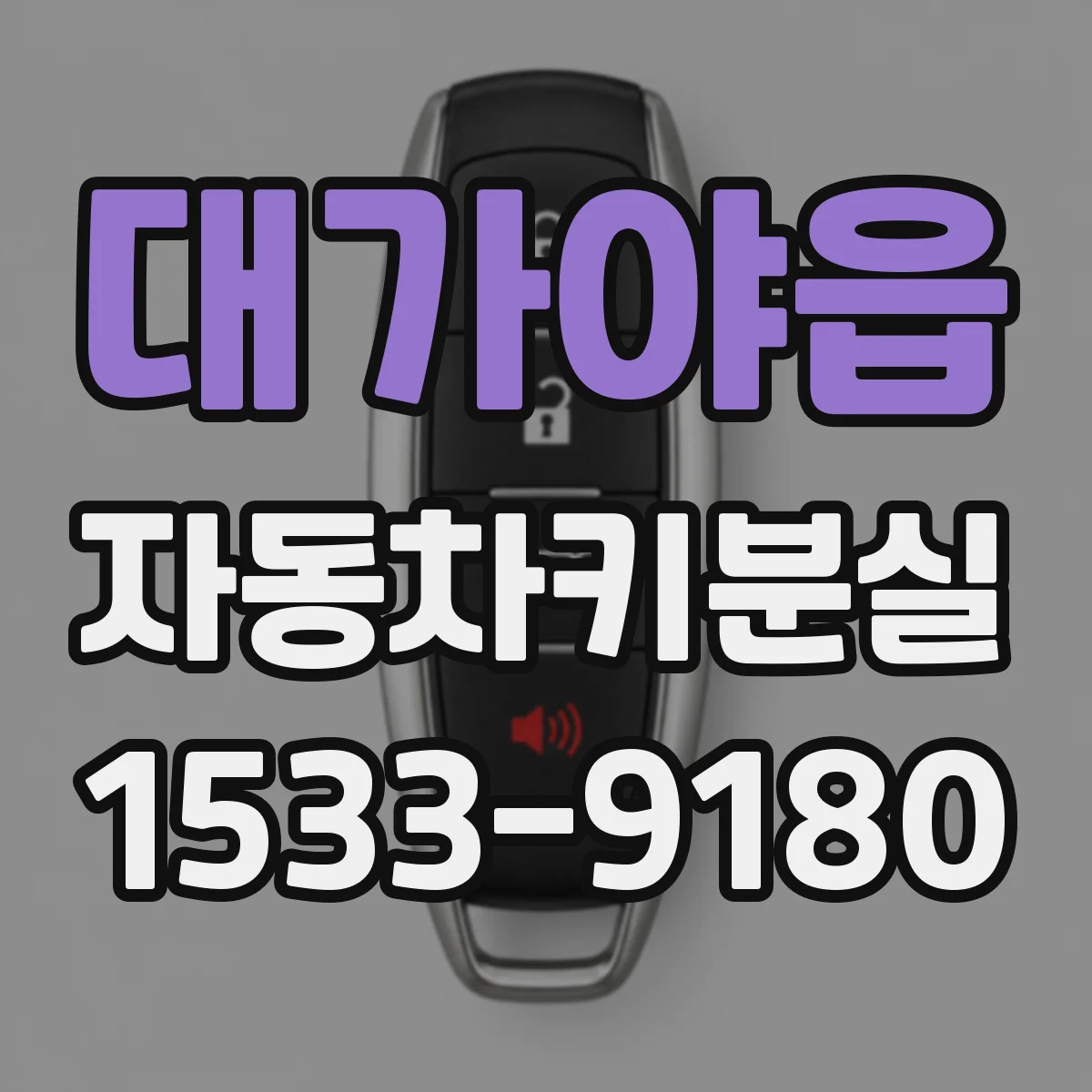 대가야읍 자동차키분실