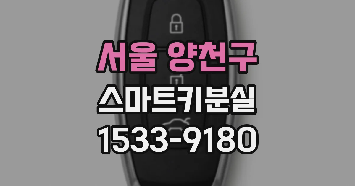 서울 양천구 스마트키분실