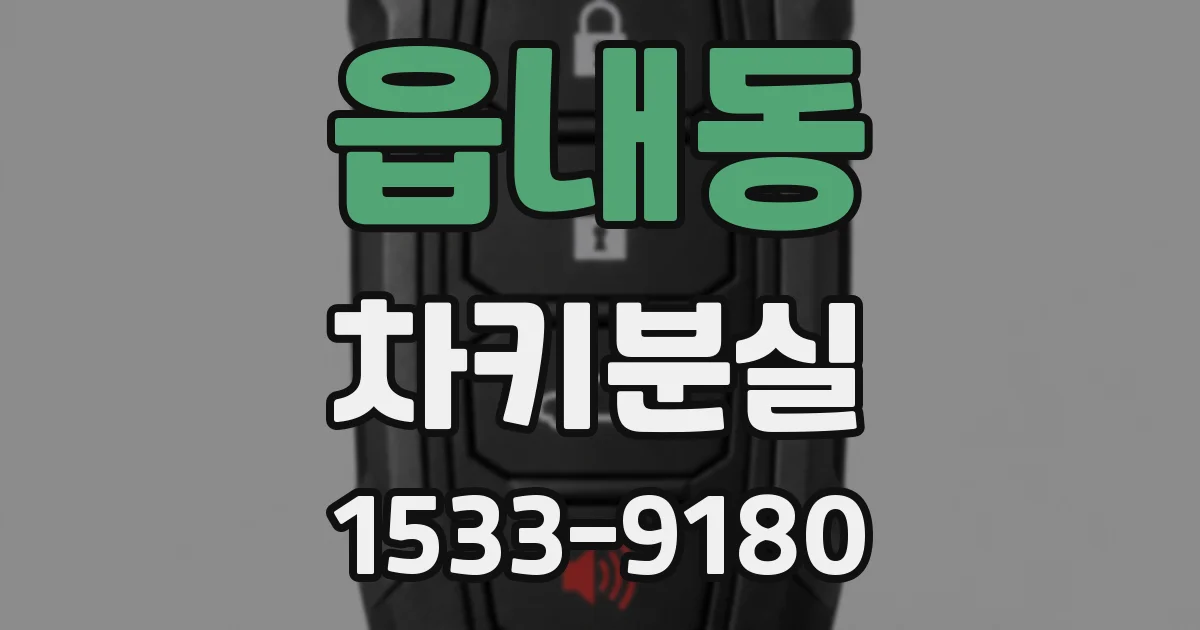 읍내동 차키분실