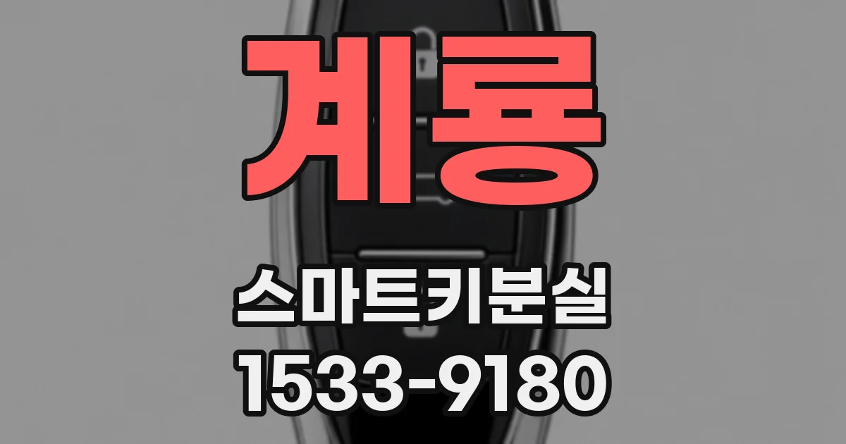 계룡 스마트키분실