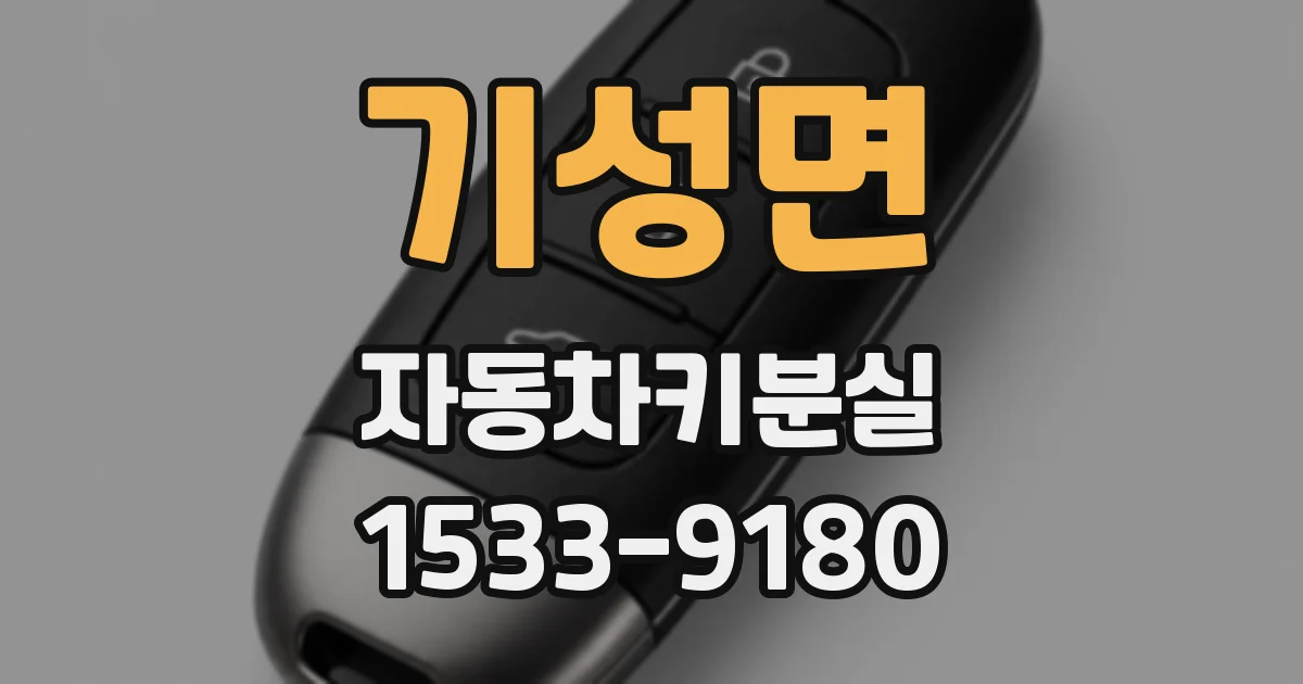 기성면 자동차키분실