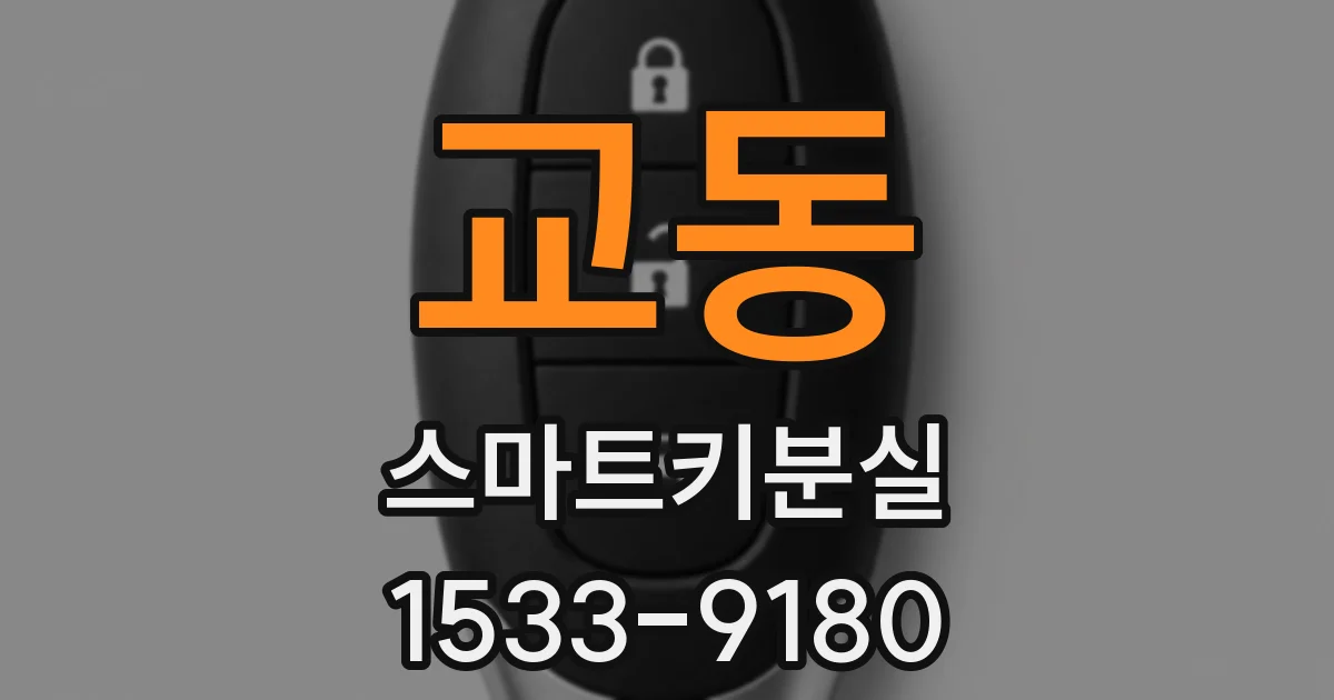 교동 스마트키분실