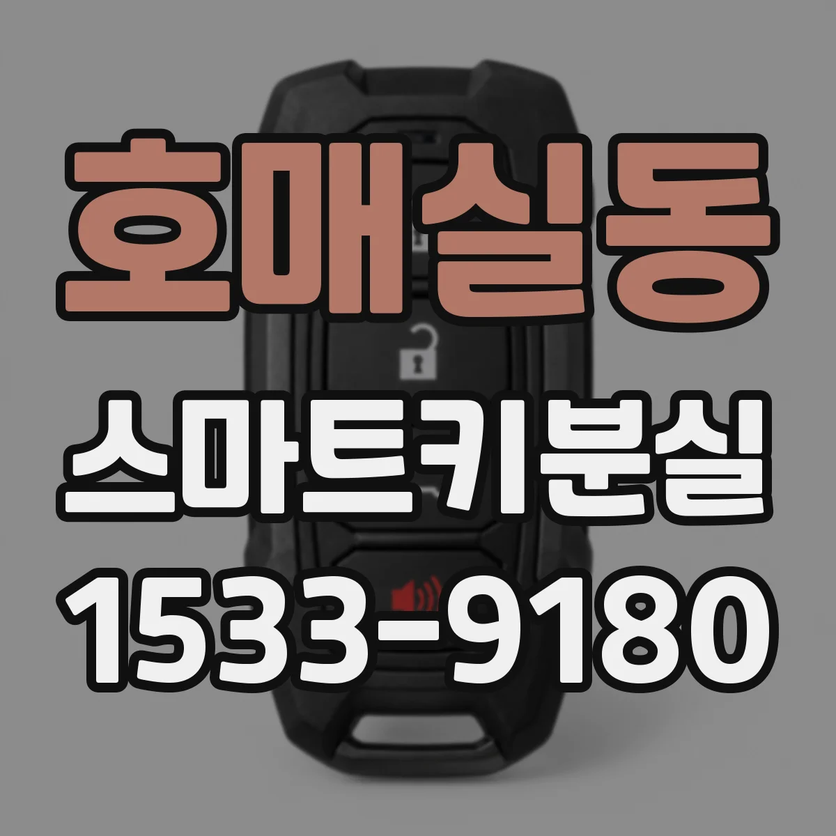 호매실동 스마트키분실