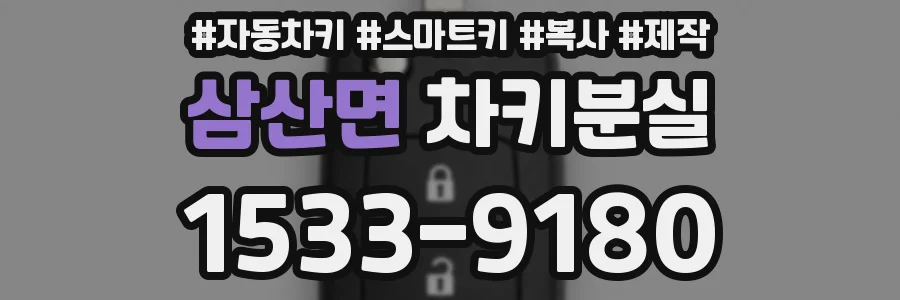 삼산면 차키분실