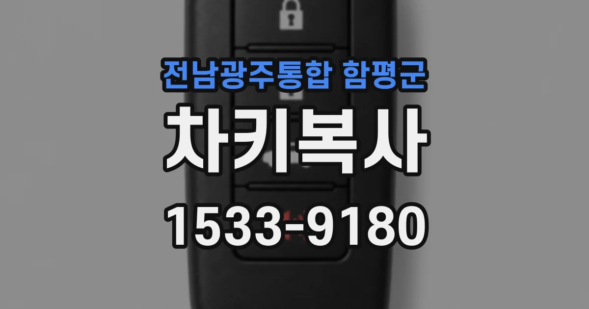 전남광주통합 함평군 차키복사