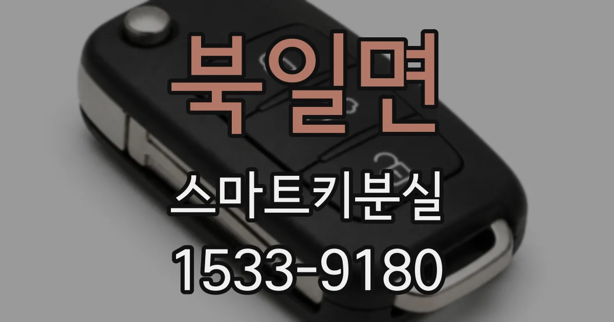 북일면 스마트키분실