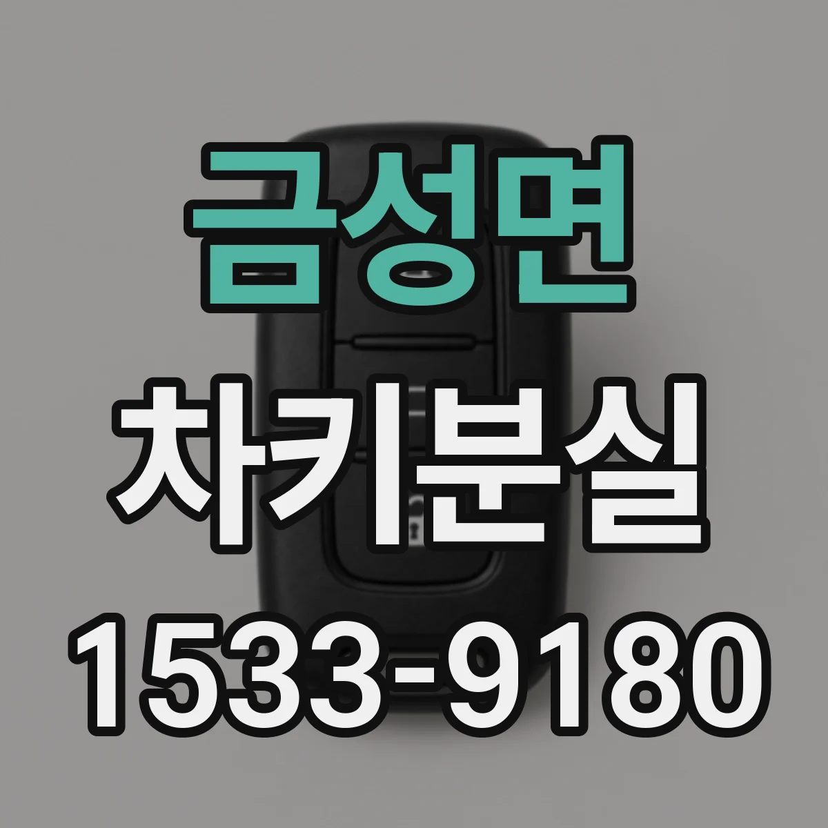 금성면 차키분실