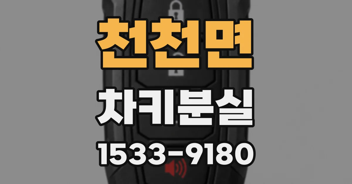 천천면 차키분실