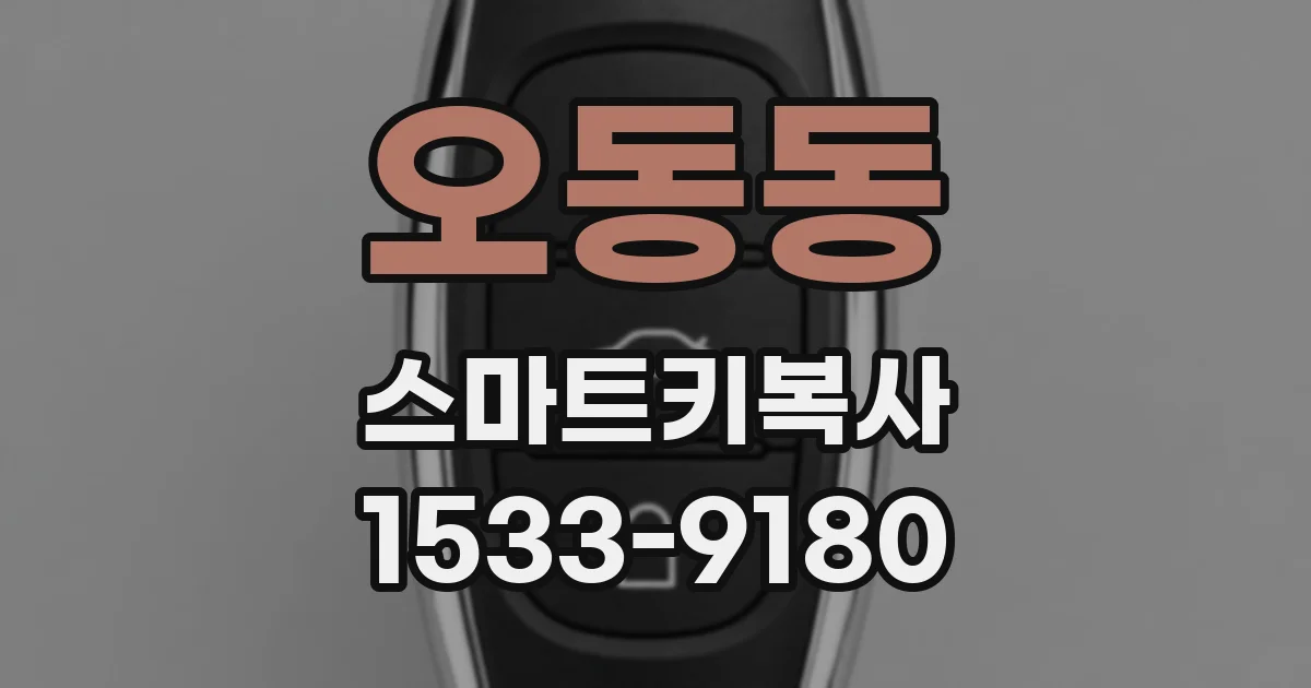 오동동 스마트키복사