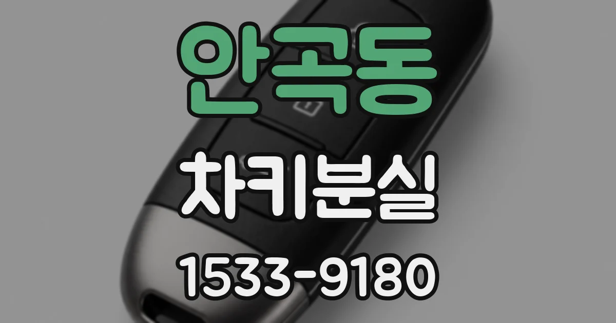 안곡동 차키분실