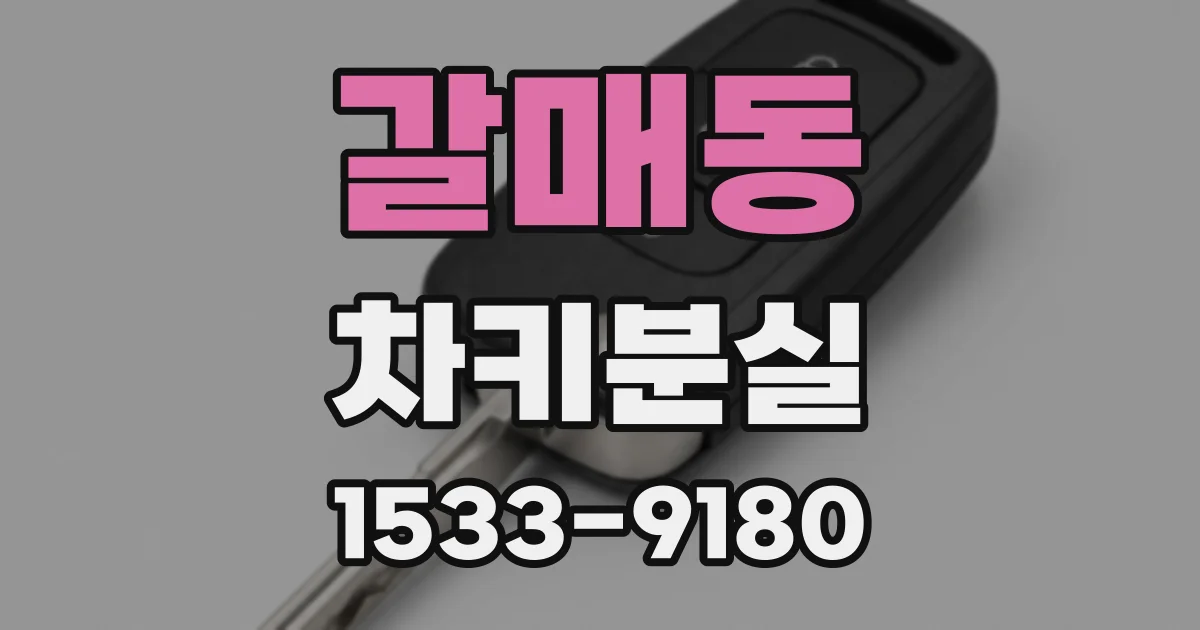 갈매동 차키분실