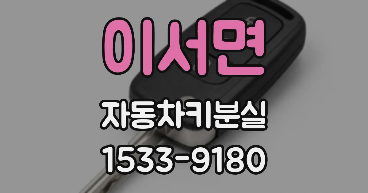 이서면 자동차키분실