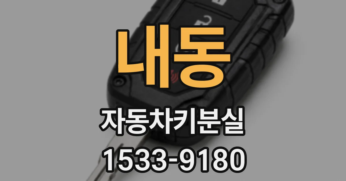 내동 자동차키분실