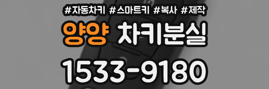 양양 차키분실