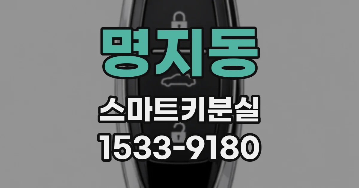 명지동 스마트키분실