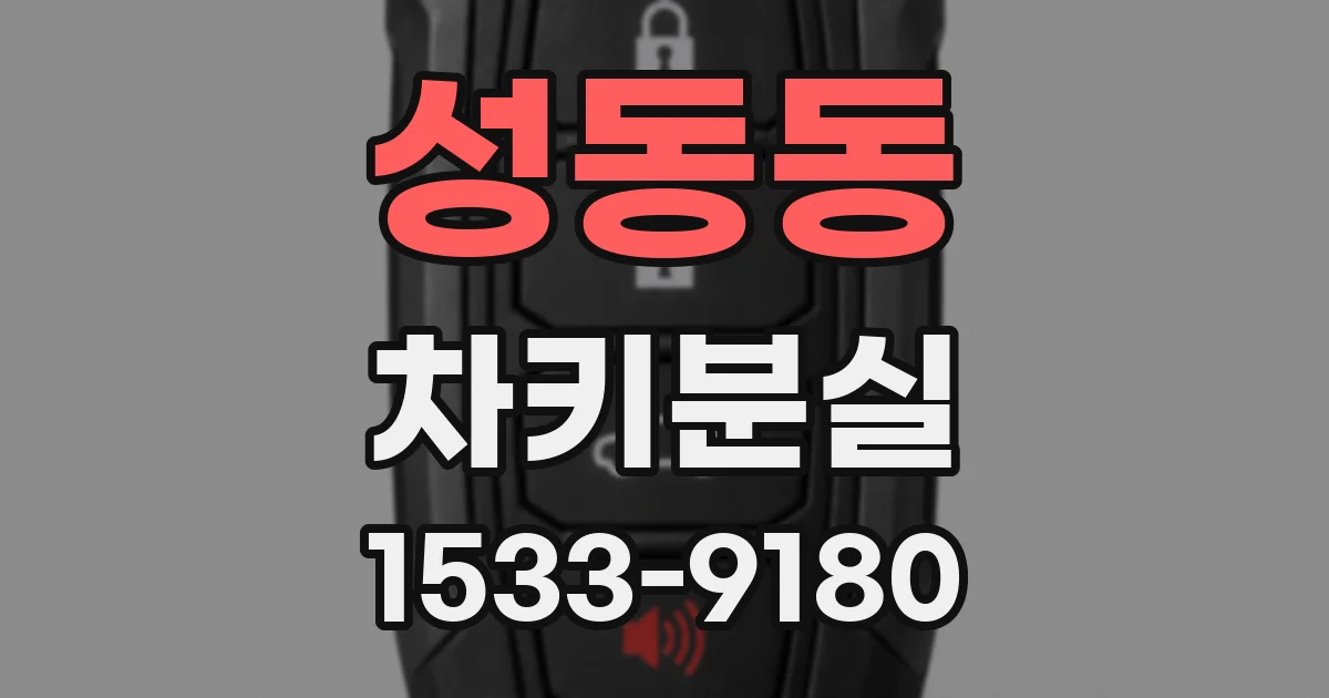 성동동 차키분실