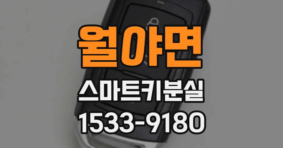 월야면 스마트키분실
