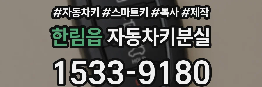 한림읍 자동차키분실