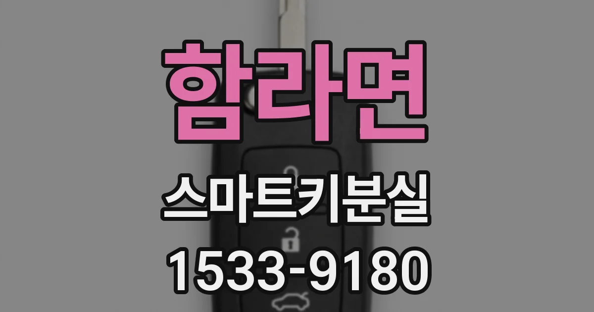 함라면 스마트키분실