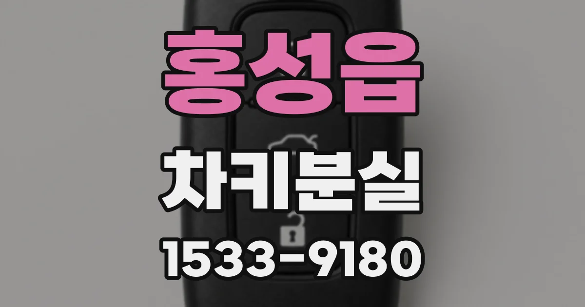 홍성읍 차키분실