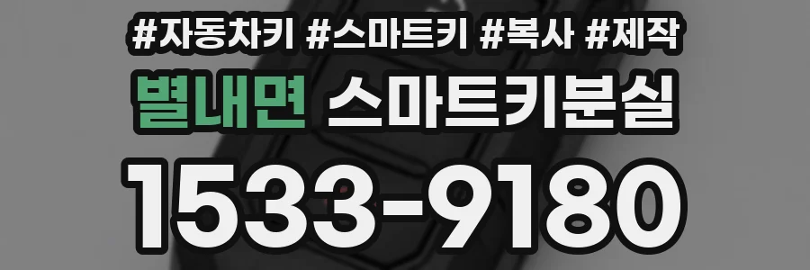 별내면 스마트키분실
