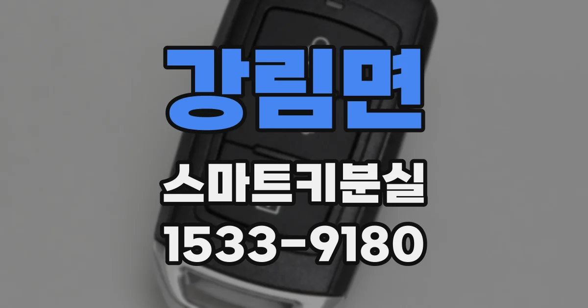 강림면 스마트키분실