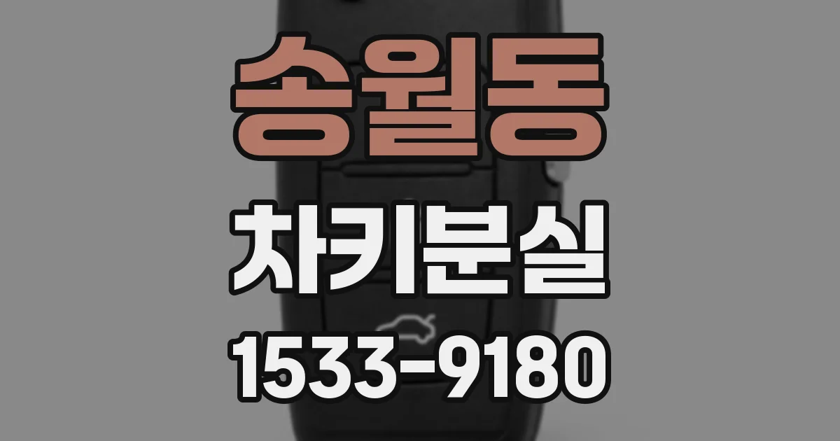송월동 차키분실