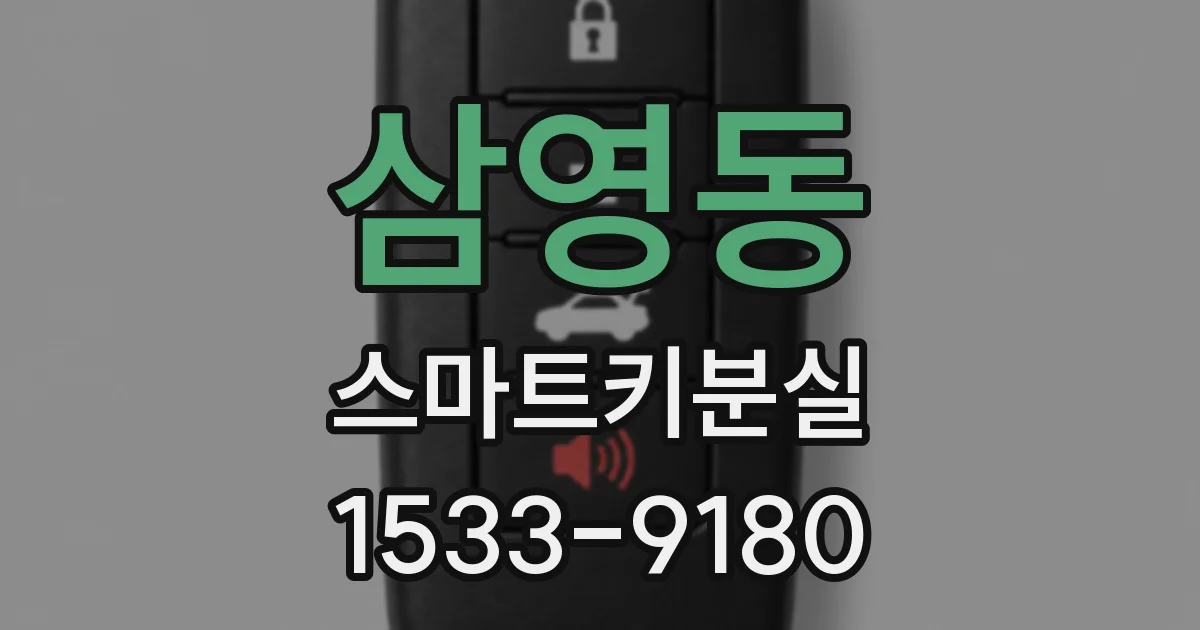 삼영동 스마트키분실