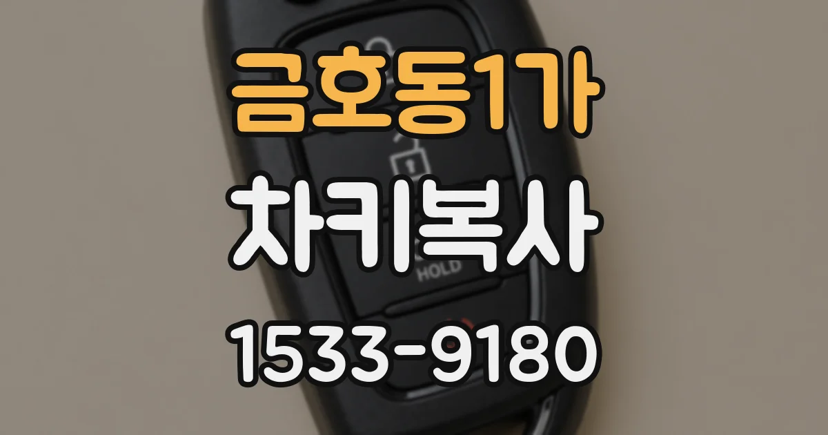 금호동1가 차키복사