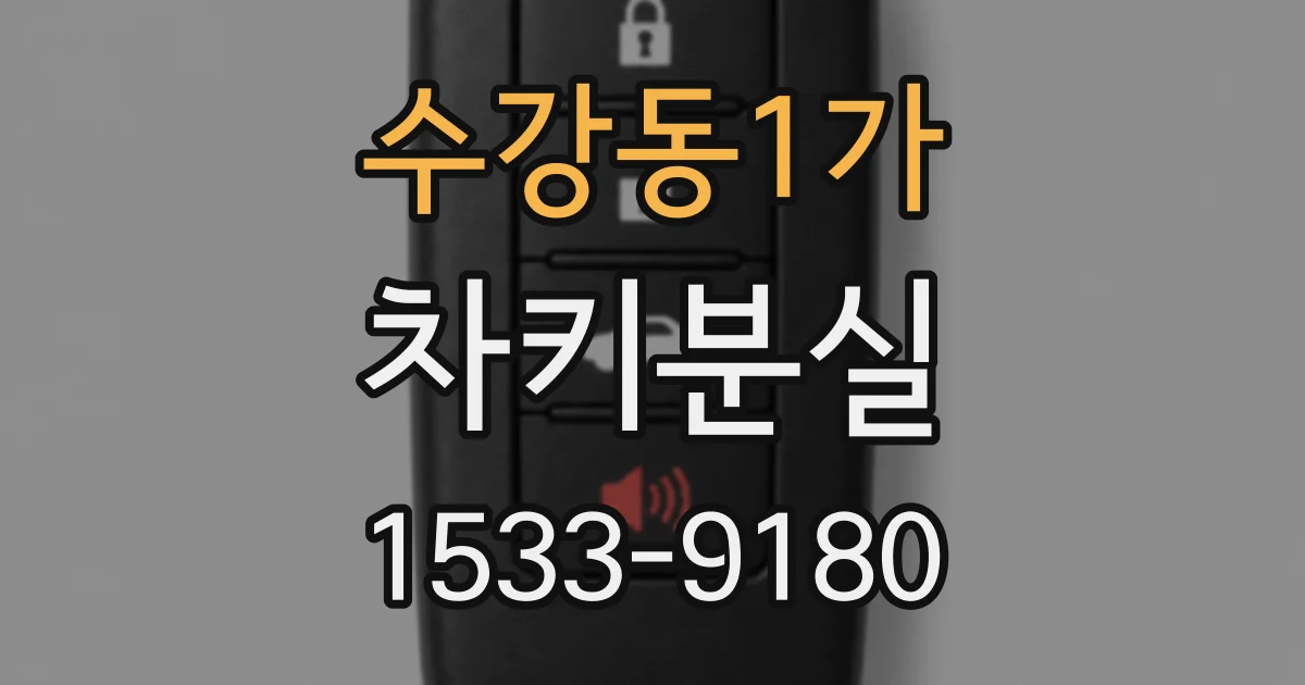 수강동1가 차키분실