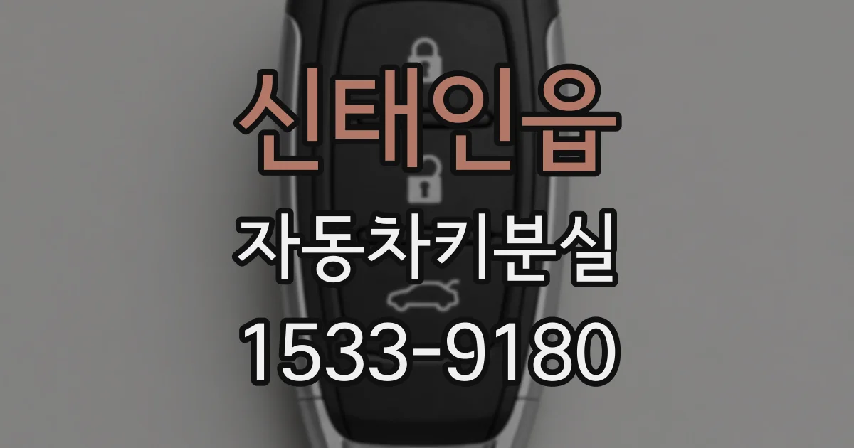 신태인읍 자동차키분실