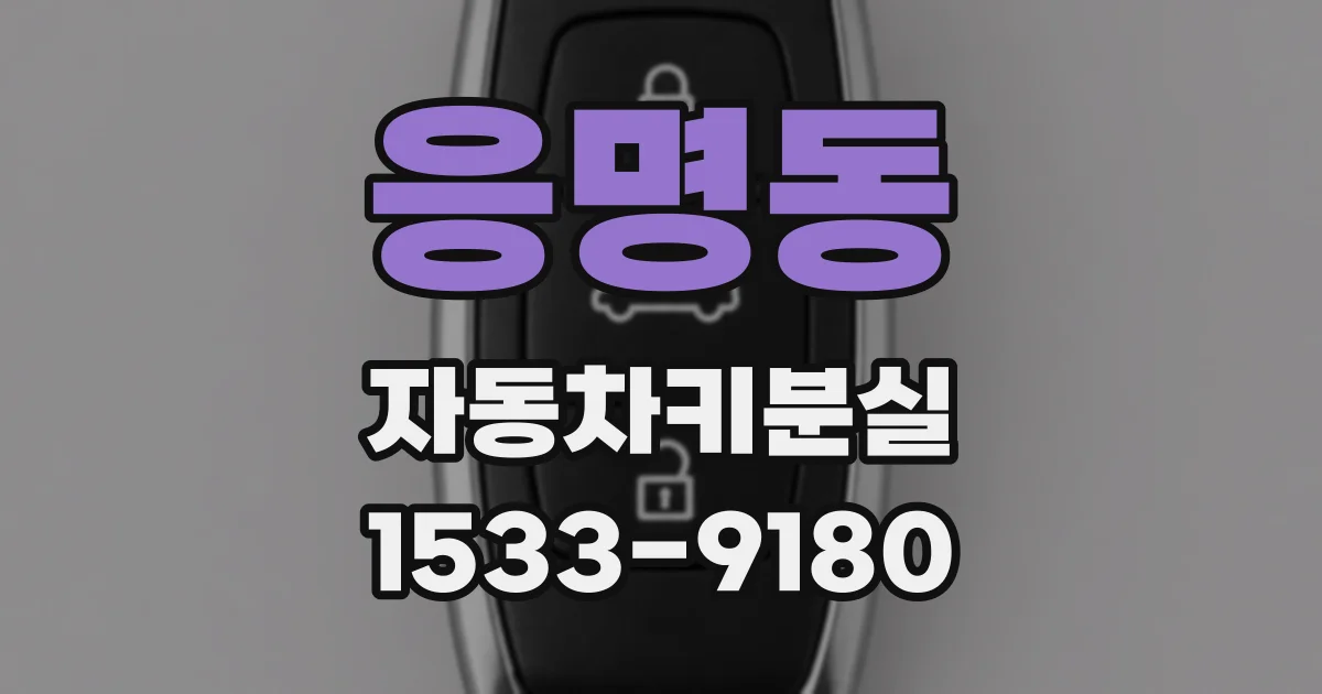 응명동 자동차키분실