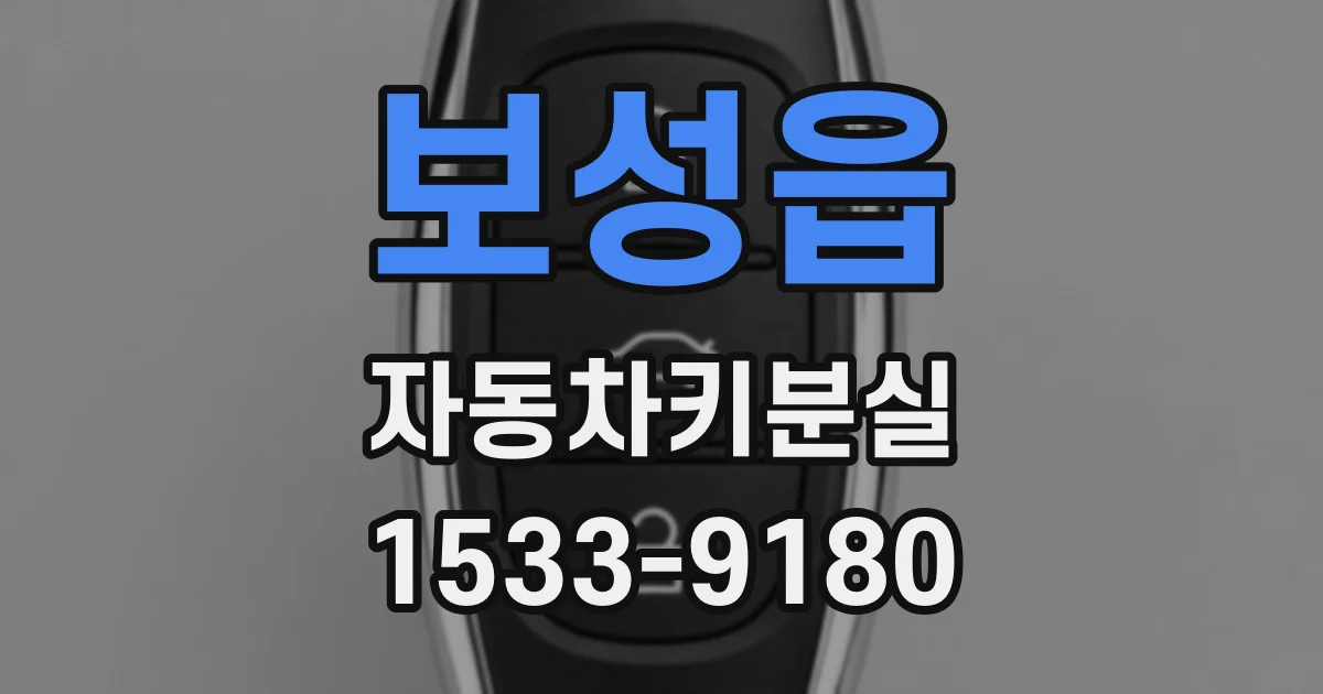 보성읍 자동차키분실