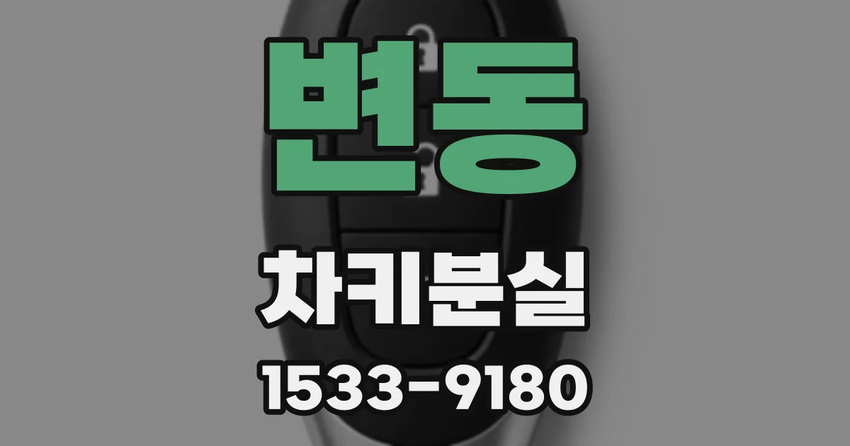 변동 차키분실