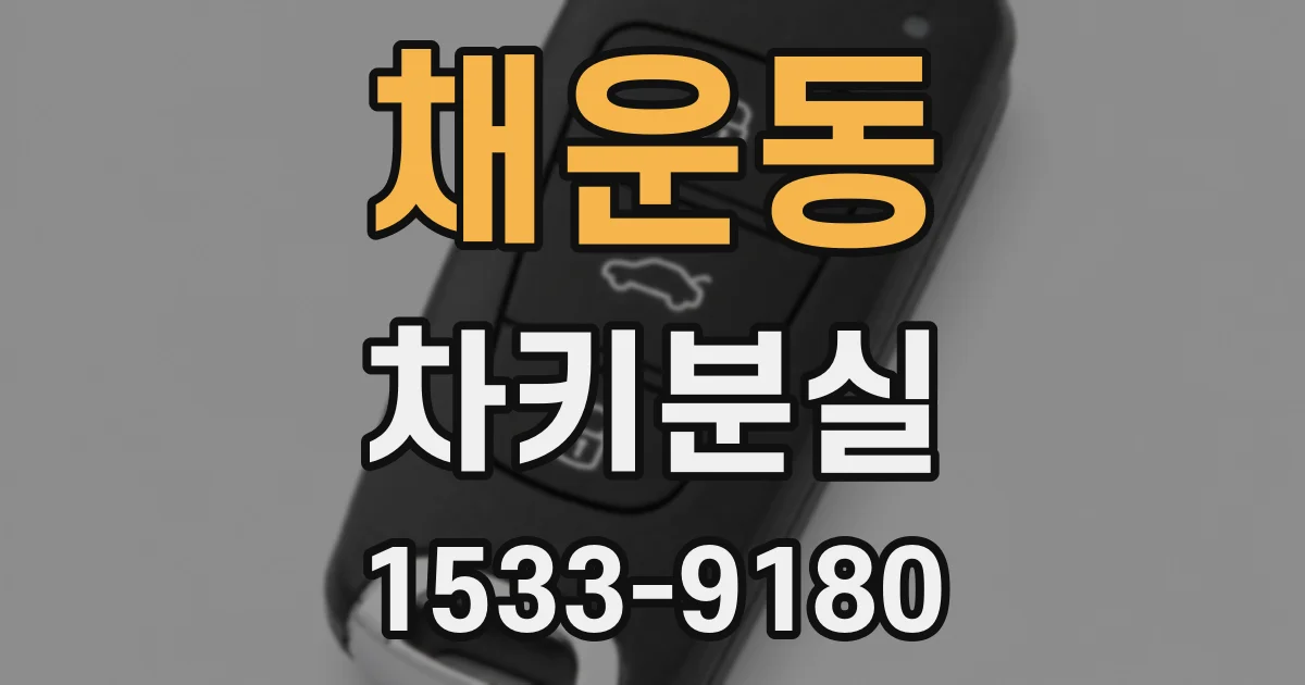 채운동 차키분실