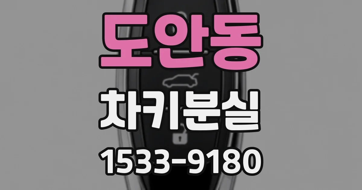 도안동 차키분실