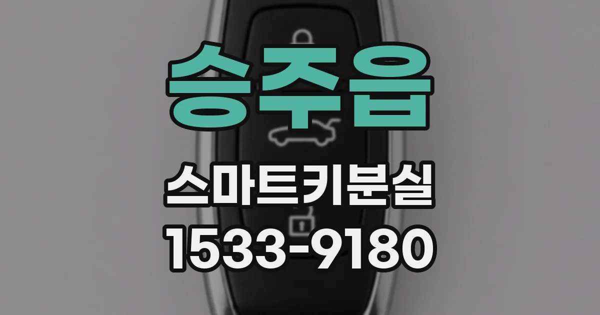 승주읍 스마트키분실